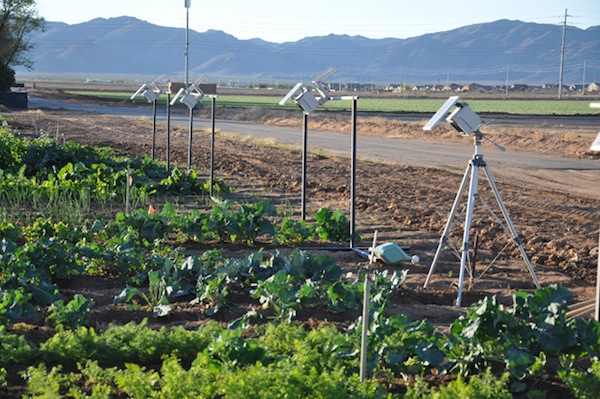 Digital Farm Collective fields and cameras. Via The Sustainability Review